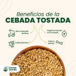 Cebada tostada - Imagen 2