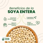 Soya entera - Imagen 2