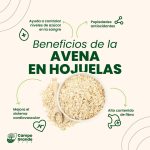 Hojuela de avena - Imagen 3