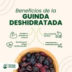 Beneficios-de-la-Guinda-Deshidratada