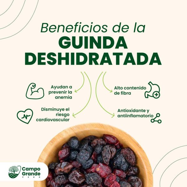 Beneficios-de-la-Guinda-Deshidratada