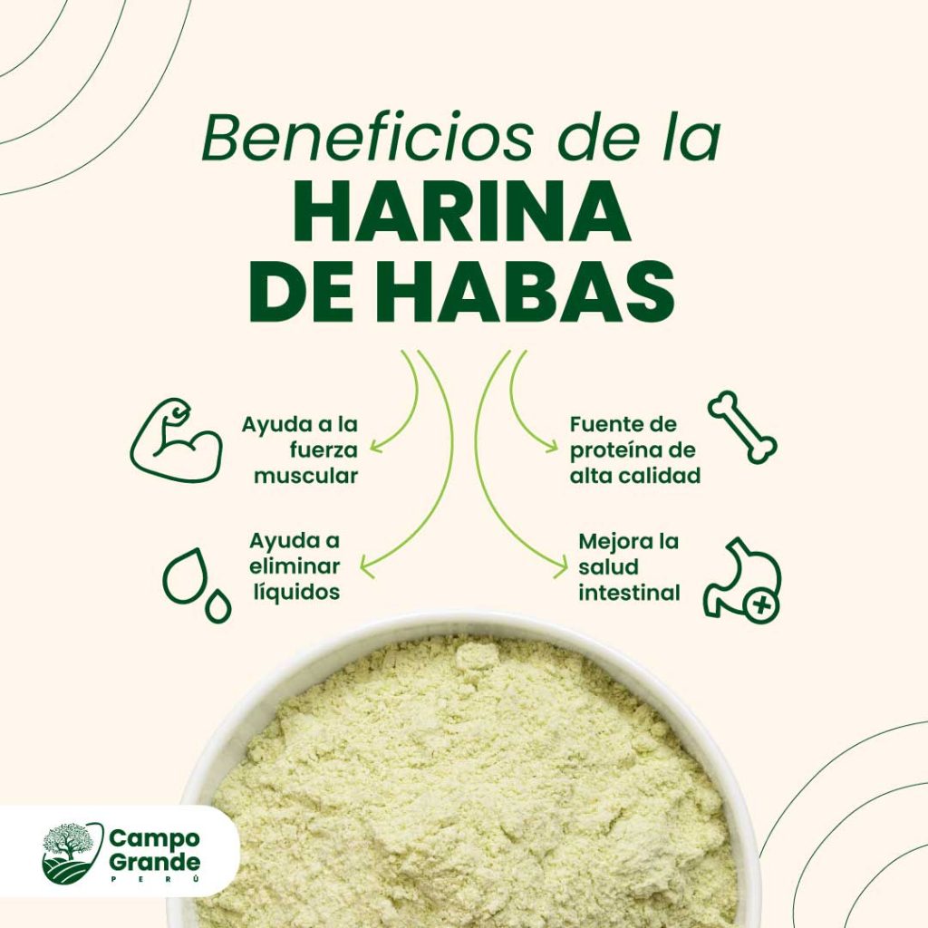 Beneficios-de-la-Harina-de-Habas
