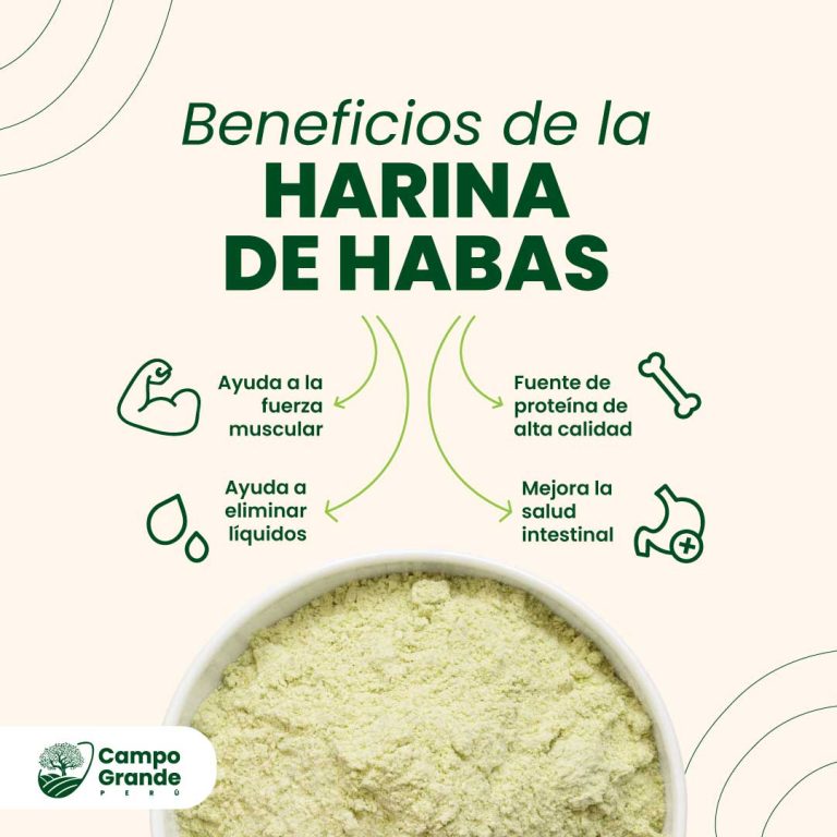 Beneficios-de-la-Harina-de-Habas