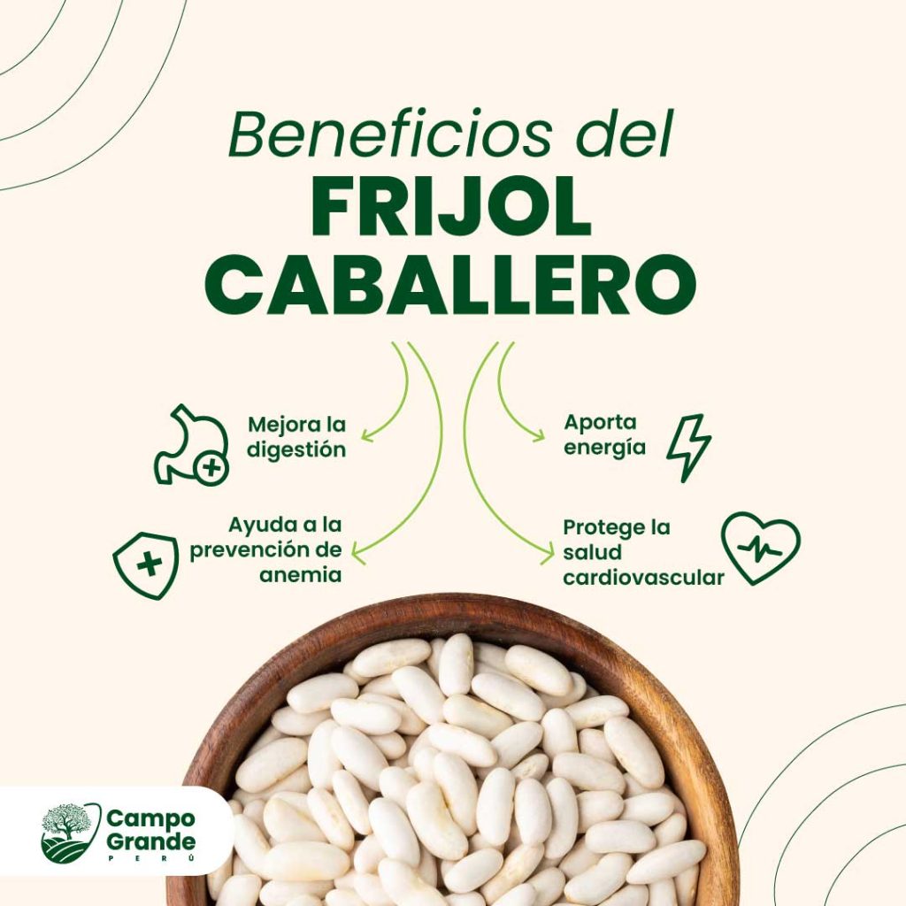 Beneficios-del-Frijol-Caballero