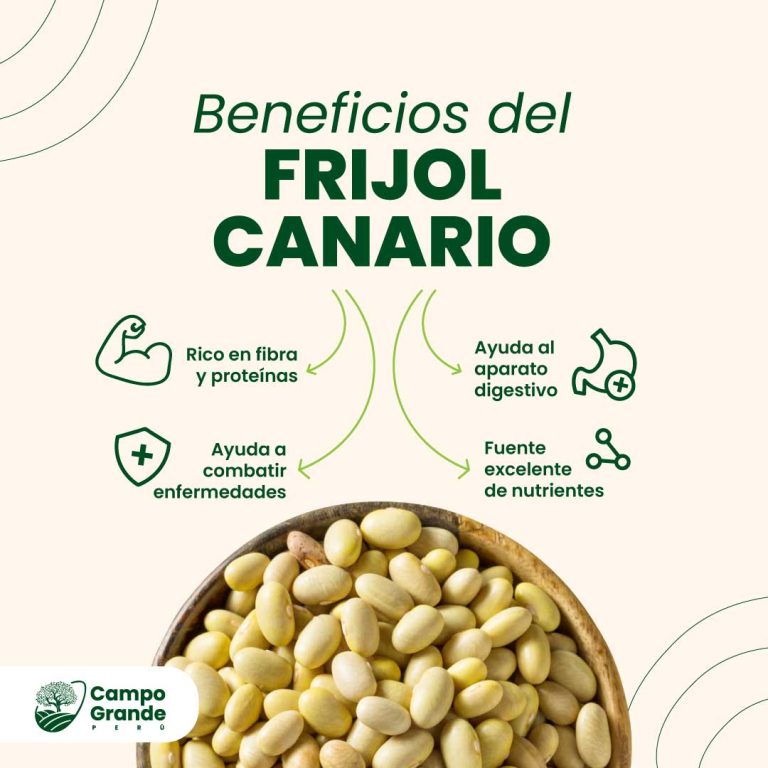 Beneficios-del-Frijol-Canario