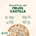 Beneficios-del-Frijol-Castilla