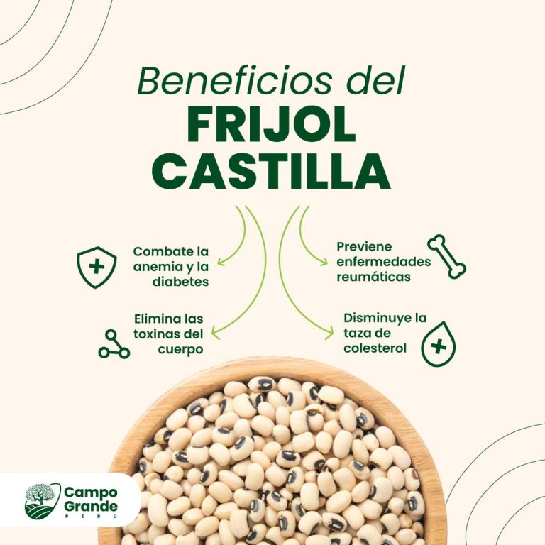 Beneficios-del-Frijol-Castilla