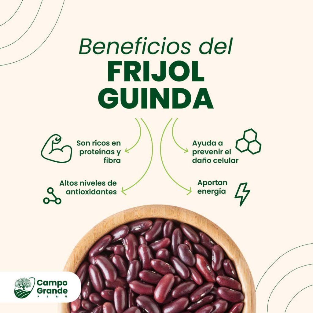 Beneficios-del-Frijol-Guinda