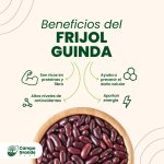 Beneficios-del-Frijol-Guinda