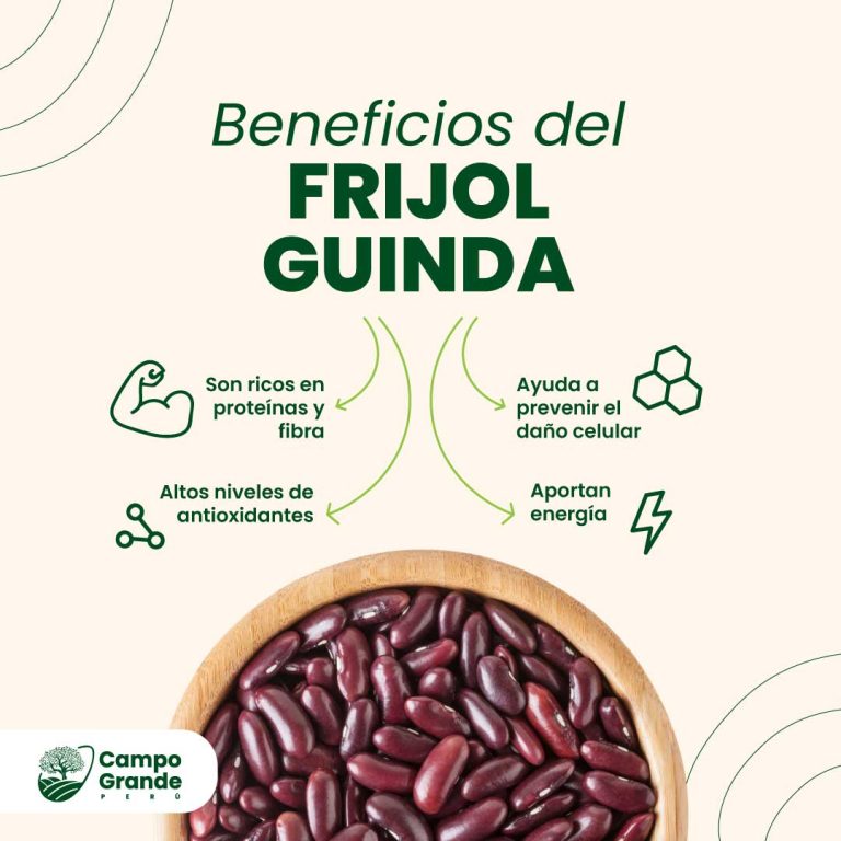 Beneficios-del-Frijol-Guinda