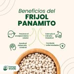 Beneficios-del-Frijol-Panamito