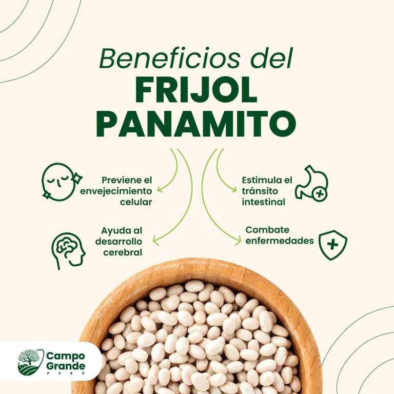 Beneficios-del-Frijol-Panamito
