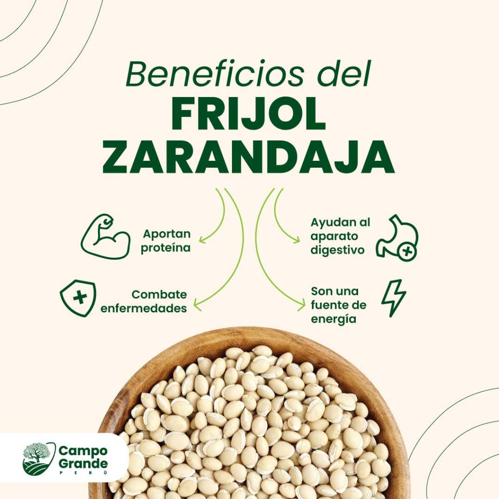 Beneficios-del-Frijol-Zarandaja