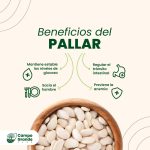 Beneficios-del-Pallar