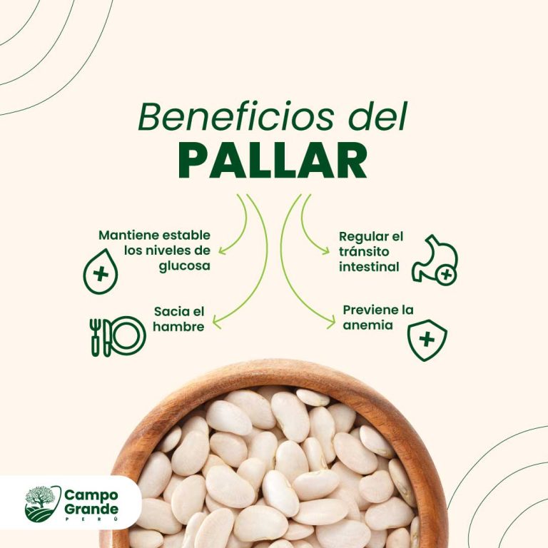 Beneficios-del-Pallar