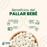 Beneficios-del-Pallar-Bebe