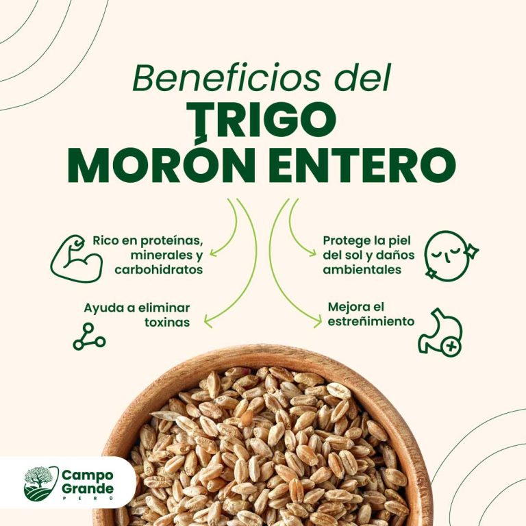 Beneficios-del-Trigo-Moron-Entero