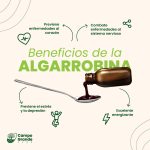 Algarrobina x 25 l - Imagen 2