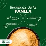Panela granulada orgánica - Imagen 2