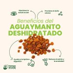 Aguaymanto deshidratado - Imagen 2
