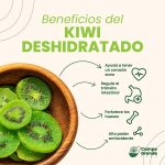 Kiwi deshidratado - Imagen 2