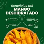 Mango deshidratado - Imagen 2
