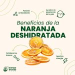 Naranja deshidratada - Imagen 2