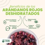 Arándanos rojos deshidratado - Imagen 2