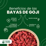 Bayas de goji - Imagen 2