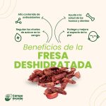 Fresa deshidratada - Imagen 2