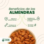 Almendra natural - Imagen 2