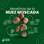 Nuez moscada - Imagen 2