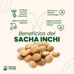 Sacha inchi con cáscara - Imagen 2