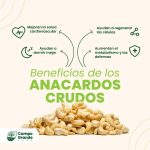 Nuez de caju crudo | cashew (exo) - Imagen 2