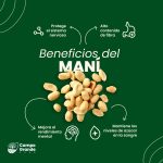 Maní partido - Imagen 2