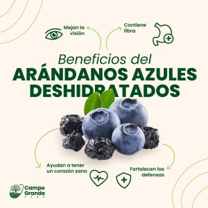 Plantillas 40