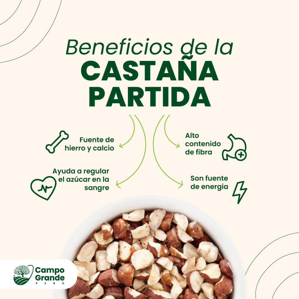 beneficios-de-la-Castana-Partida