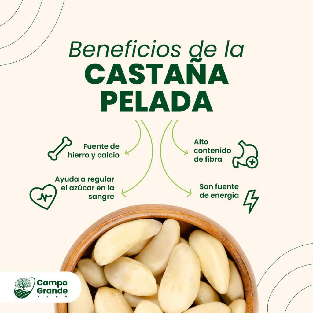 beneficios-de-la-Castana-Pelada