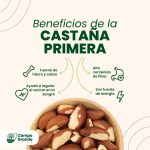 beneficios-de-la-Castana-Primera