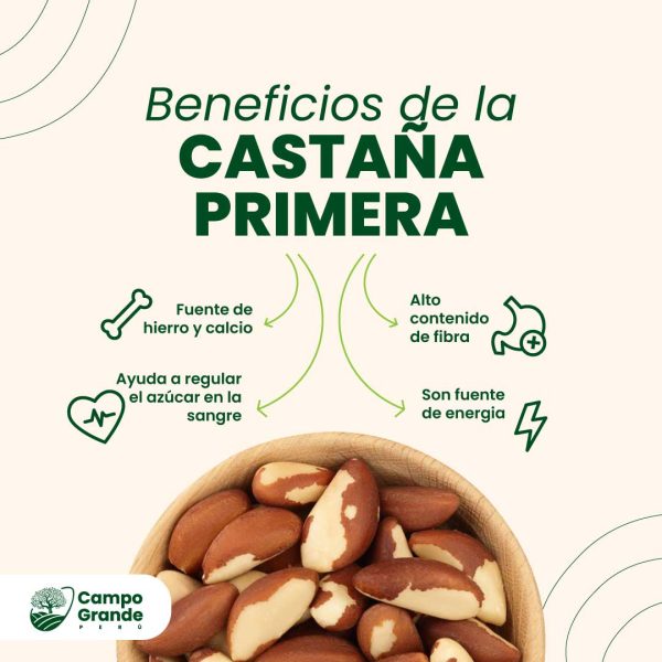 beneficios-de-la-Castana-Primera