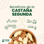 beneficios-de-la-Castana-Segunda