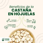 beneficios-de-la-Castana-en-Hojuelas