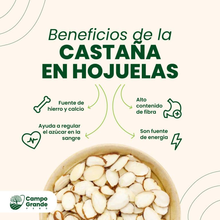 beneficios-de-la-Castana-en-Hojuelas
