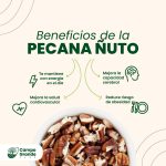 beneficios-de-la-Pecana-Nuto