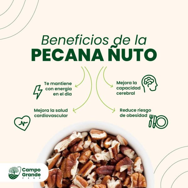 beneficios-de-la-Pecana-Nuto