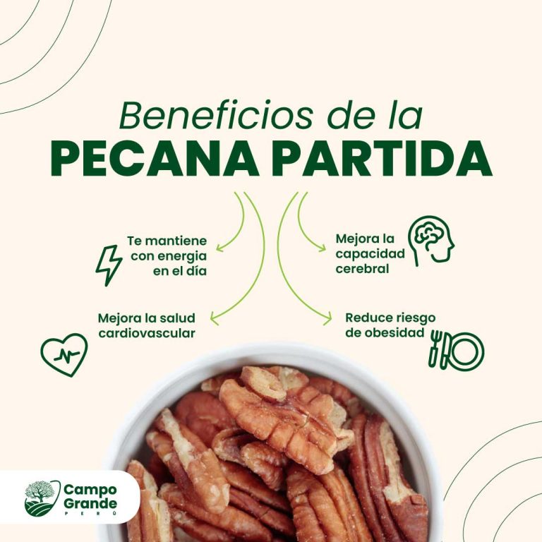 beneficios-de-la-Pecana-Partida