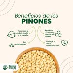 beneficios-de-los-Pinones