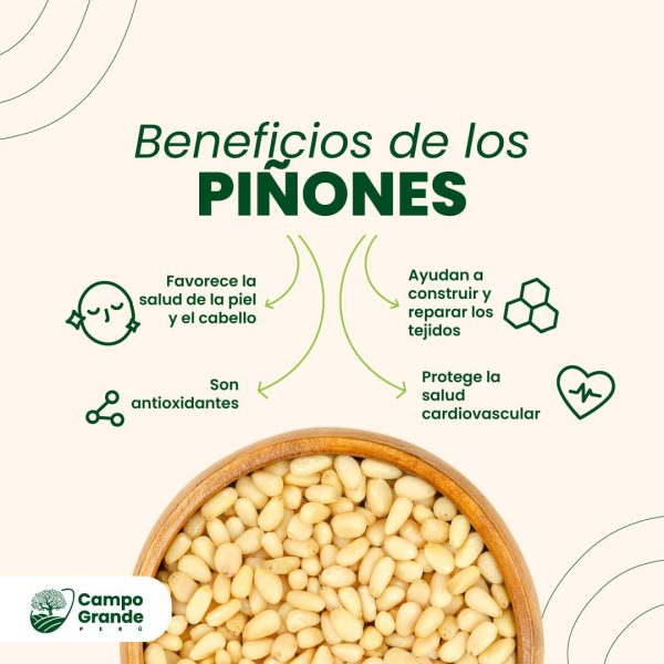 beneficios-de-los-Pinones