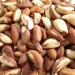 Castaña primera - Imagen 3