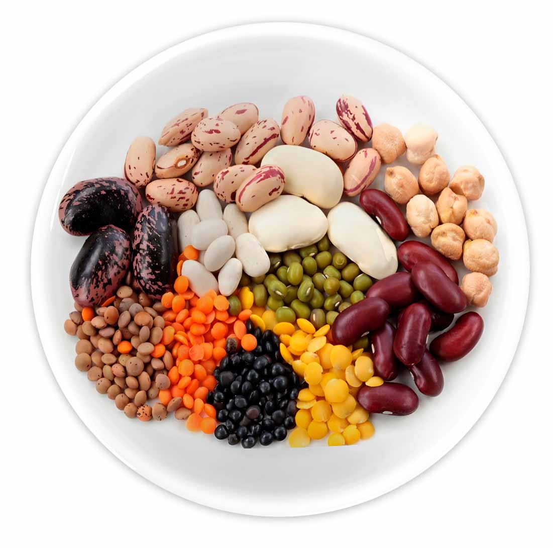 menestras - campo grande